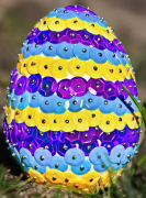 முட்டை 20 பட்டியல்